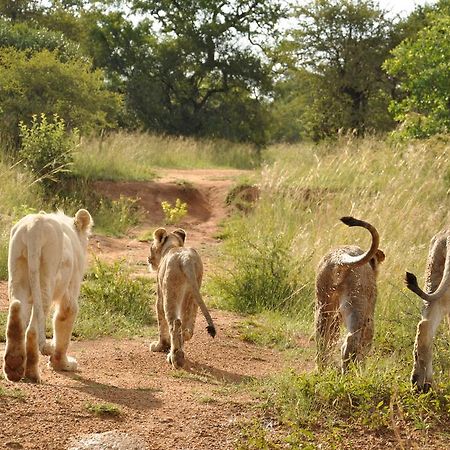 Ukutula Lion Lodge Beestekraal  Eksteriør billede